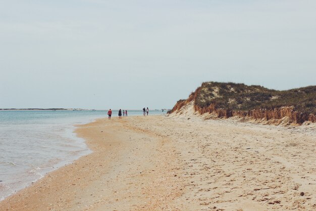 Grupo de personas caminando en la orilla al lado de la playa