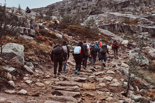 Grupo de personas está de excursión en las montañas de Noruega. Grupo de excursionistas con mochilas, rastreando en las montañas.