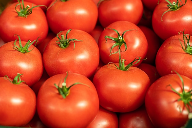 Grupo de tomates frescos y rojos