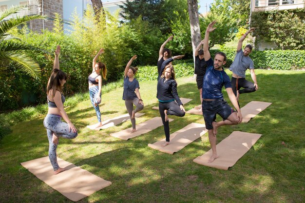 Grupo de yoga disfrutando de entrenamiento al aire libre