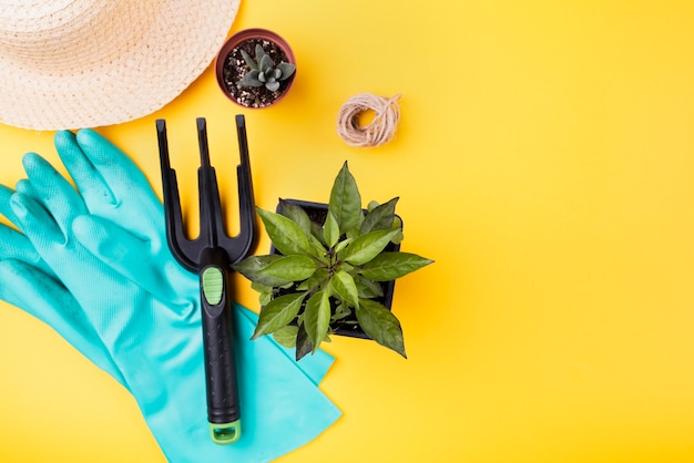 Guantes azules con tenedor de jardinería y espacio de copia