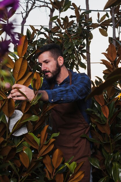 Guapo hombre cuidando las plantas