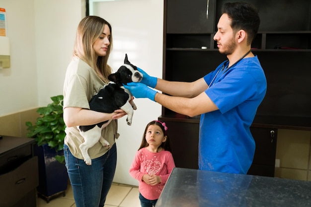 Guapo veterinario hispano acariciando la cabeza de un hermoso perro boston terrier en los brazos de una mujer caucásica y su hija en la clínica de animales