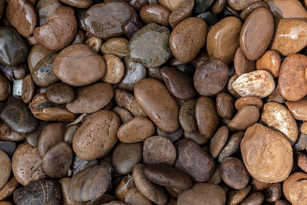 Guijarros y rocas mojadas en el suelo