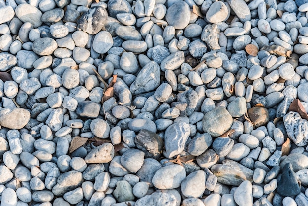 Guijarros y rocas en el suelo