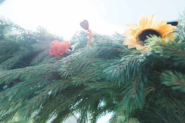 Guirnalda de abeto y girasoles