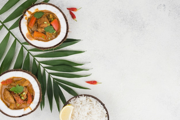 Foto gratuita guiso y arroz en platos de coco copia espacio