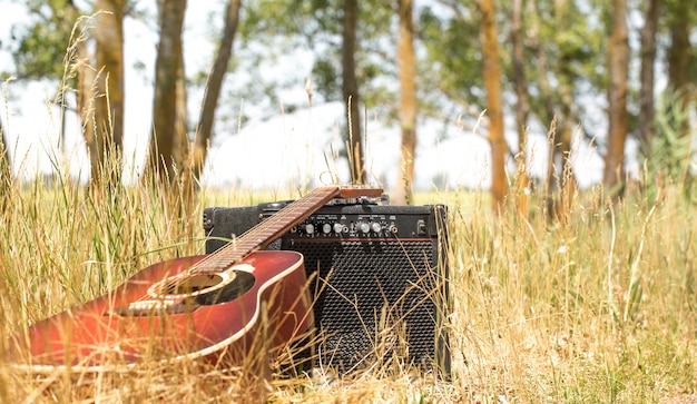 guitarra en la naturaleza