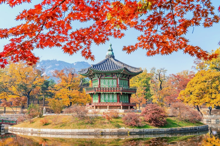 Foto gratuito gyeongbukgung y arce en otoño en corea.