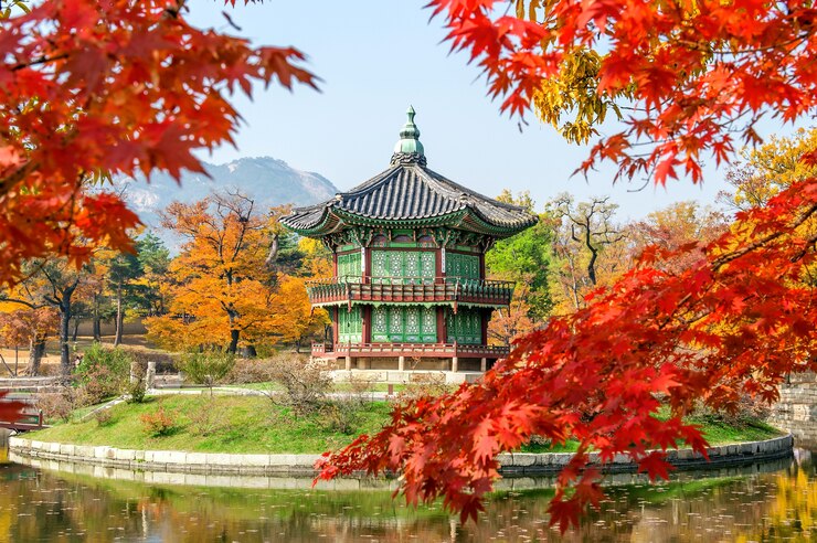 Foto gratuito gyeongbukgung y arce en otoño en corea.
