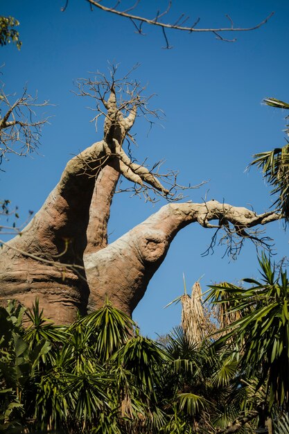 Habitat de animales