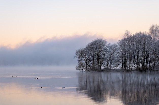 Hadas bailando en el lago, aguas tranquilas y reflejos al amanecer.