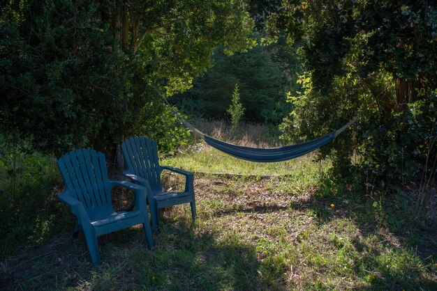 Hamaca azul adjunta a árboles con sillas de plástico azul en el lateral de un bosque verde