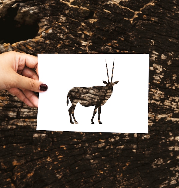 Foto gratuita hand hold gemsbok oryx paper carving