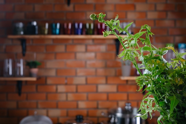 Helechos verdes suben al suelo de la cocina.