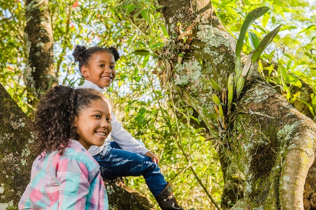 Hermanas jóvenes en un árbol