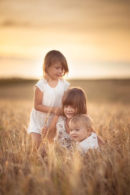 Las hermanas de tres niñas caminan en el campo con la puesta de sol de centeno