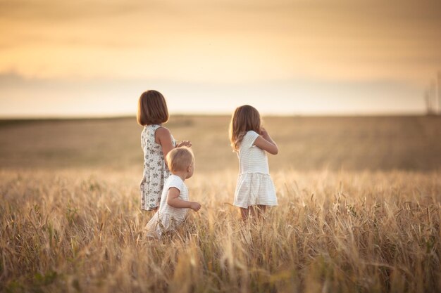 Las hermanas de tres niñas caminan en el campo con la puesta de sol de centeno