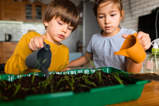 Foto gratuita hermano y hermana regando cultivos en casa