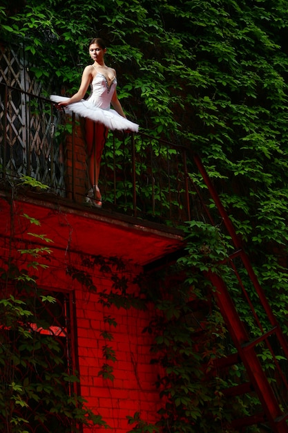 Foto gratuita hermosa bailarina bailando ballet