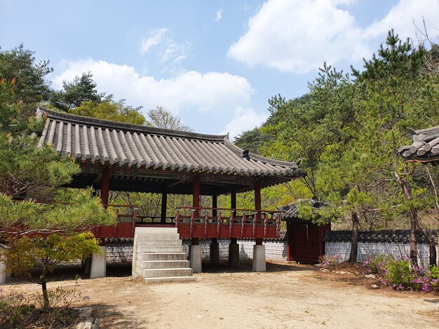 Una hermosa cabaña de estilo japonés rodeada de árboles.