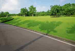 Foto gratuita la hermosa carretera está rodeada de vegetación