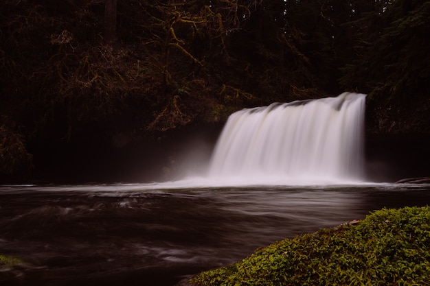 Hermosa cascada blanca pura en el bosque