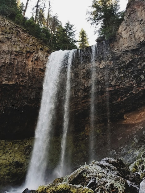 Hermosa cascada en un bosque rocoso rodeado de vegetación