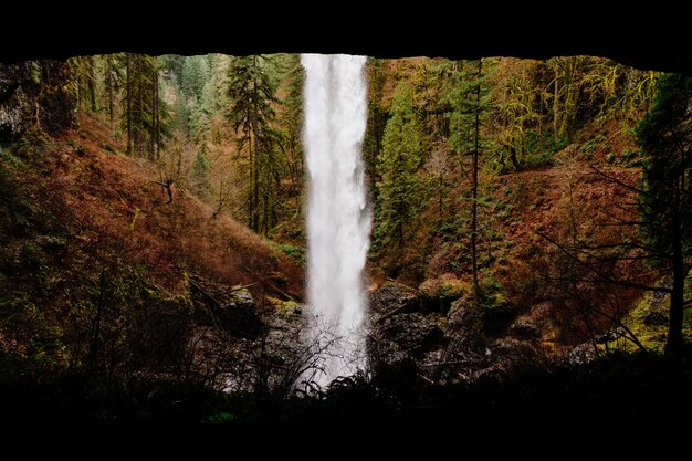 Hermosa cascada en un bosque rocoso rodeado de vegetación