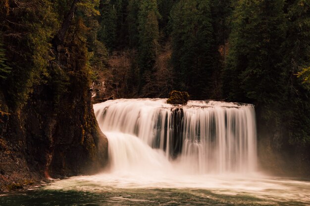 Hermosa cascada en el bosque