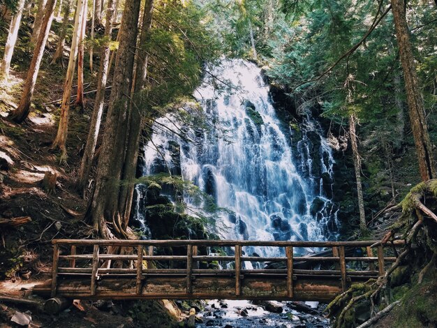 Hermosa cascada y un pequeño puente de madera.