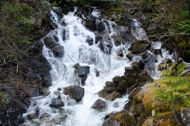 Hermosa cascada que fluye hacia los arroyos rodeados de rocas