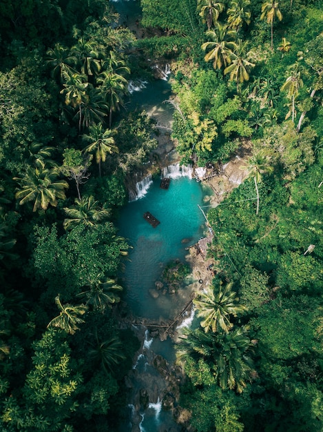 Hermosa cascada que fluye hacia el río rodeada de verdes