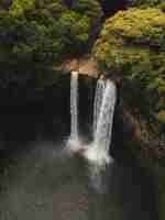 Foto gratuita hermosa cascada que fluye hacia el río rodeada de verdes