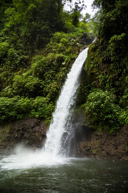 Hermosa cascada que fluye en la selva tropical en costa rica