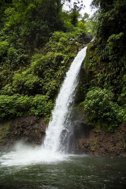 Hermosa cascada que fluye en la selva tropical en costa rica