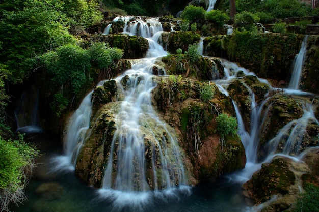 Hermosa cascada que fluye a través de un exuberante bosque verde