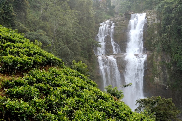 Hermosa cascada de Ramboda en la isla de Sri Lanka