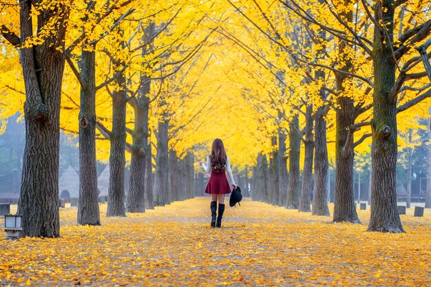 Hermosa chica con hojas amarillas en la isla de Nami, Corea.