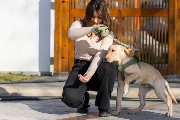 Una hermosa chica tratando de alimentar a su perro en la calle Foto de alta calidad