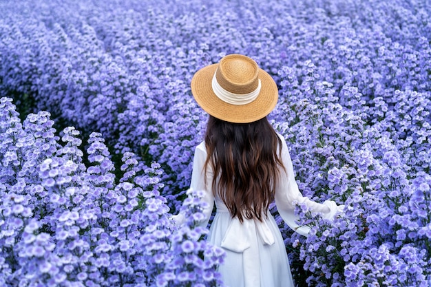 Hermosa chica en vestido blanco caminando en los campos de flores de Margaret, Chiang Mai en Tailandia