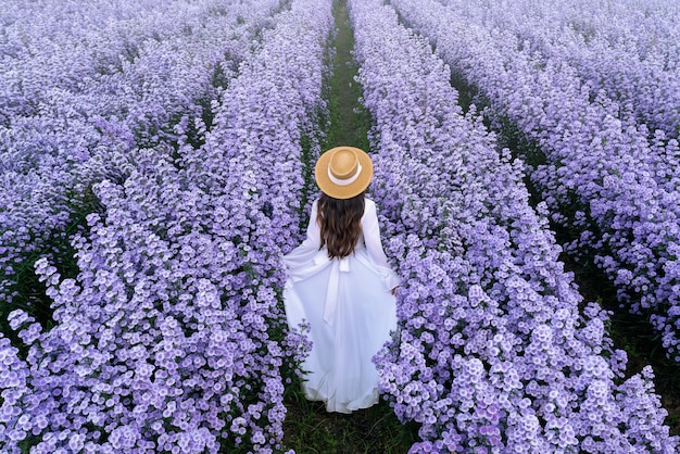 Hermosa chica en vestido blanco caminando en los campos de flores de Margaret, Chiang Mai en Tailandia