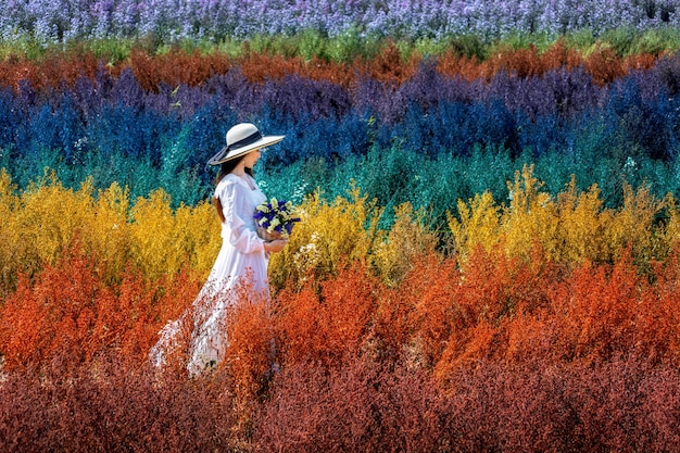 Hermosa chica en vestido blanco sentado en campos de flores de cortador de arco iris, Chiang Mai.