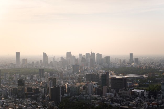 Hermosa ciudad de alto ángulo con niebla