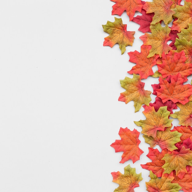 Hermosa composición de hojas de otoño con espacio de copia a la izquierda sobre fondo blanco