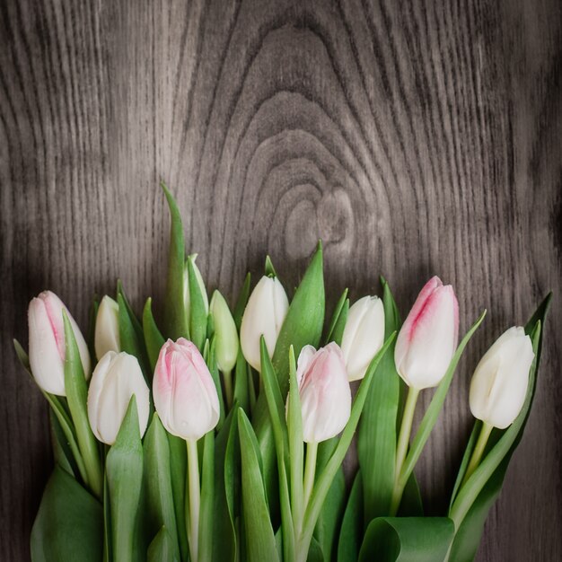 Hermosa composición de tulipanes blancos