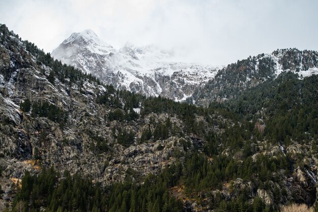 Hermosa cordillera cubierta de nieve envuelta en niebla