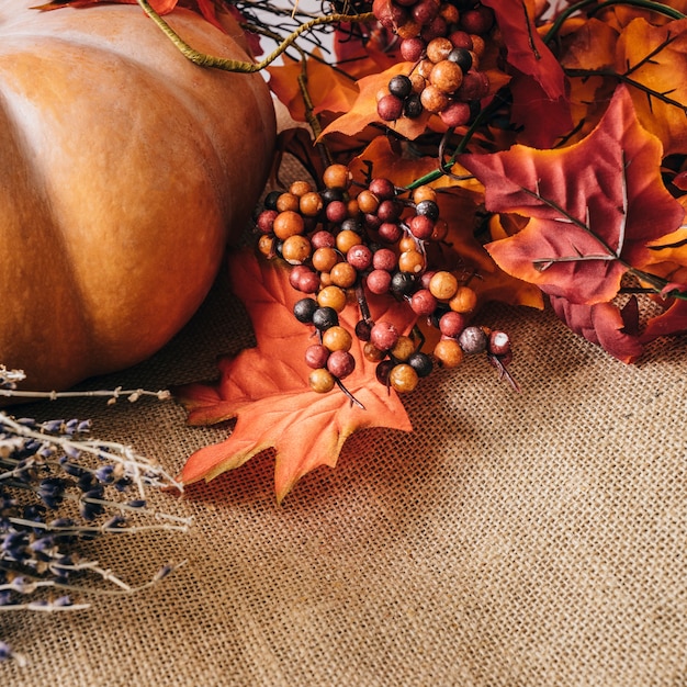 Hermosa decoración de otoño