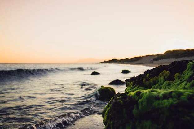 Hermosa escena de playa al atardecer