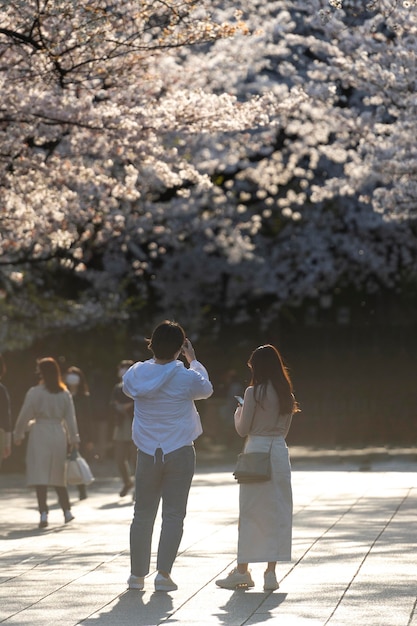 Hermosa flor de durazno en Tokio durante el día